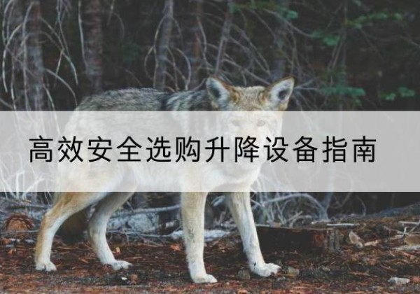 长汀升降货梯厂家推荐-*安全选购升降设备指南