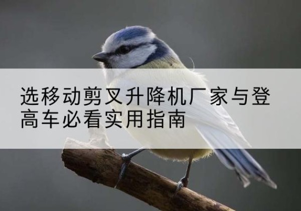 长汀电动升降机厂家-选移动剪叉升降机厂家与登高车必看实用指南