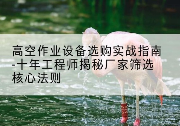 长汀剪叉式升降机厂家-高空作业设备选购实战指南-十年工程师揭秘厂家筛选核心法则
